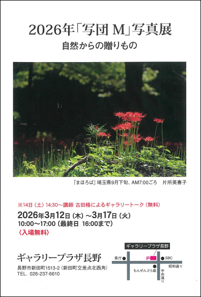 「写団Ｍ」写真展の画像